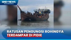 Ratusan Etnis Rohingya Terdampar di Pidie dalam 2 Hari Terakhir