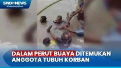 Minta Izin Berenang, Ibu Hamil Tua Diterkam Buaya di Mimika