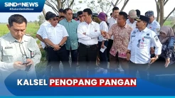 Mentan Sebut Kalsel akan Jadi Penopang Pangan Nasional