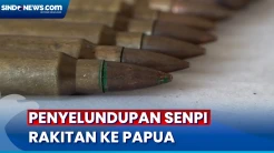 2 Pelaku Ditangkap, Polisi Gagalkan Penyelundupan Senpi Rakitan ke Papua