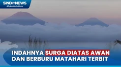 Indahnya Matahari Terbit dengan Suasana Sejuk dan Pemandangan 5 Gunung yang Mempesona dari Dataran Tinggi Kopeng, Jateng
