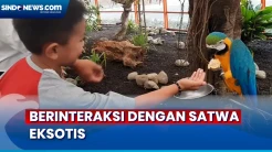 Berinteraksi dengan Satwa Eksotis Sembari Nikmati Udara Segar di Lereng Gunung SLamet