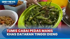 Masakan Tumis Cabai Pedas Manis Khas Dataran Tinggi Dieng yang Menggugah Rasa, Wajib Coba!