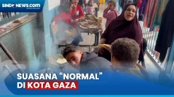 Gencatan Senjata Sementara Menghidupkan Aktivitas Sehari-hari Warga Gaza