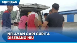 Menyelam Cari Gurita dan Diserang Hiu, Nelayan di Nias Kritis