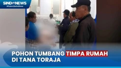 Rumah Tertimpa Pohon di Sangalla Tana Toraja, 1 Orang Meninggal