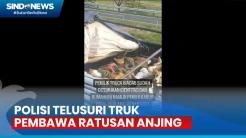 Truk Bawa Ratusan Anjing Viral di Media Sosial, Ini Hasil Penelusuran Polres Sragen
