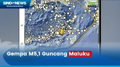 Gempa M5,1 Guncang Maluku dan Sekitarnya, Tak Berpotensi Tsunami