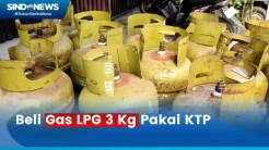 Pembelian Gas LPG 3 Kg Sekarang Pakai KTP, Begini Keluhan Pedagang