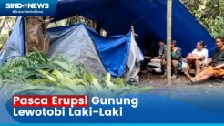 Gunung Lewotobi Erupsi, Ratusan Pengungsi Butuhkan Makanan dan Minuman