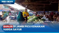 Harga Sayur Melonjak di Kota Jambi, Dampak Banjir dan Kondisi Pasokan