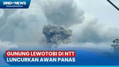 Gunung Lewotobi Laki-Laki Kembali Erupsi Disertai Luncuran Awan Panas