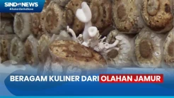 Nikmatnya Berburu Kuliner Olahan Jamur di Kota Parepare