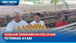 Ganjar Dengarkan Keluhan Peternak Ayam Petelur di Magetan Jatim