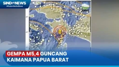 Gempa M5,4 Guncang Kaimana Papua Barat, Tidak Berpotensi Tsunami