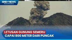 Gunung Semeru Erupsi, Letusan Capai 800 Meter dari Puncak