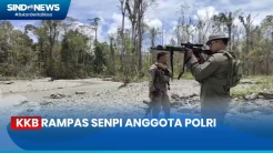 Senpi Anggota Polri Dirampas KKB, Kapolda Papua Akui Anggotanya Ceroboh