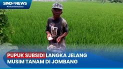 Petani Kesulitan Cari Pupuk Subsidi Jelang Musim Tanam di Jombang
