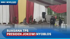 Begini Suasana Terkini TPS Presiden Jokowi Nyoblos