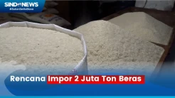 Pemerintah akan Impor 2 Juta Ton Beras dari Thailand