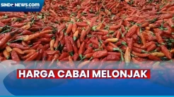 Harga Cabai di Tigaraksa Tangerang Melonjak, Tembus Rp100 Ribu per Kg