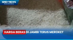 Harga Beras di Jambi Naik Drastis, Andalkan Beras dari Palembang