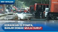 Banjir Demak Mulai Surut Tersisa 2 Desa yang Masih Terendam