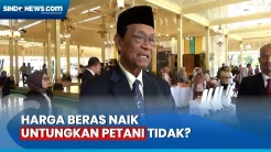 Meroketnya Harga Beras, Sultan HB X Berharap Untungkan Petani