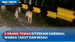 Dua Orang jadi Korban Keganasan Harimau, Warga Lampung Barat Resah dan Takut Beraktivitas