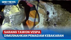 Sengat Warga hingga Tewas, Sarang Tawon Vespa Dimusnahkan Pemadam Kebakaran