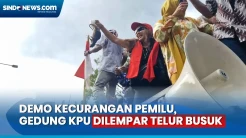 Demo Kecurangan Pemilu, Emak-Emak Lempari Gedung KPU dengan Telur Busuk dan Bangkai Tikus