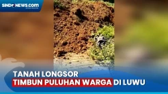 Tanah Longsor Timbun Puluhan Warga saat Melintasi Jalanan di Luwu