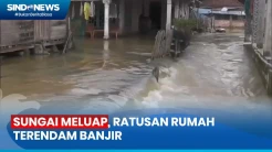 Sungai Batanghari Meluap, Ratusan Rumah Warga Terendam Air
