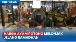 Harga Ayam Potong Tembus Rp36 Ribu per Kg Jelang Ramadhan