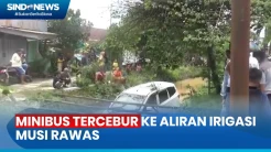 Menghindari Kucing dan Pemotor, Minibus Tercebur ke Aliran Irigasi Musi Rawas