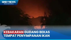 Kebakaran Landa Gudang Bekas Tempat Penyimpanan Ikan di Jakarta Utara