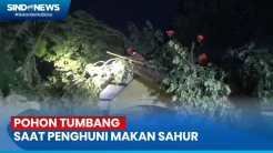 Pohon Tumbang, Rumah Warga Rusak saat akan Makan Sahur