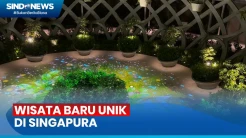 Wisata Menakjubkan di Sentosa Sensoryscape, Landmark Terbaru Singapura