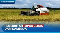 Pemerintah Impor Beras dari Kamboja Untuk Amankan Stok Jelang Lebaran