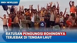 Ratusan Pengungsi Rohingnya Terombang-Ambing di Tengah Lautan Usai Kapalnya Terbalik
