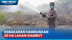 Petugas Gabungan Berjibaku Padamkan Kebakaran yang Hanguskan 20 Ha Lahan Gambut di Pelalawan