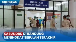 RSHS Bandung Rawat 11 Pasien DBD Disertai Keluhan Berat
