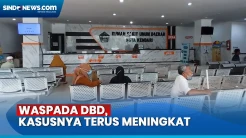 10 Orang Meninggal karena Demam Berdarah di Kota Kendari