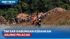 Hari Keempat Pencarian Korban Longsor, Tim SAR Kerahkan Anjing Pelacak