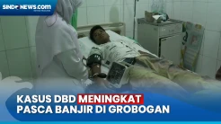 Kasus DBD Meningkat Tajam Pasca Banjir di Grobogan, 6 Anak Meninggal