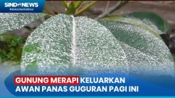 Gunung Merapi Keluarkan Awan Panas Guguran Pagi Ini, Jarak Luncur 1.700 Meter