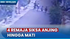 Aksi Sadis 4 Remaja Siksa Anjing hingga Mati di Jember Terekam CCTV