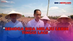 Judul Sindo: Timnas Indonesia U-23 ke Perempat Final Piala Asia U-23, Ini Kata Jokowi