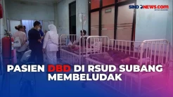 Imbas Kasus DBD Naik, RSUD Subang Rawat Ratusan Pasien
