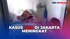 Kasus DBD di Jakarta Meningkat, Rata-Rata Didominasi Anak-Anak